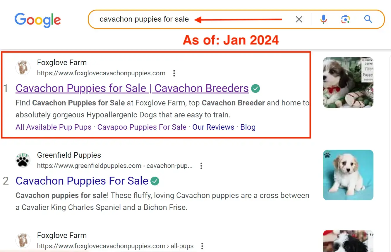 Organic SEO Services - Analytics and Growth Charts